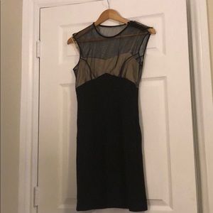 DvF nude and black sheer dress